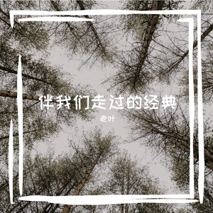 阿珍爱上了阿强