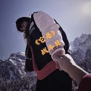 它是