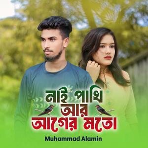 নাই পাখি আর আগের মতো