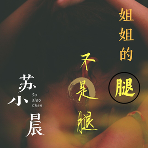 姐姐的腿不是腿