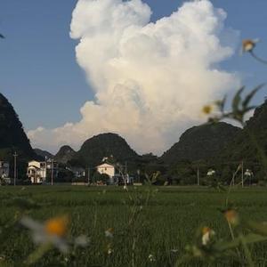 那年我挥挥手离开家