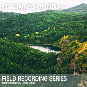 Nature Sounds for Sleep, Relaxation & Meditation (Taiga, strong winds) 01