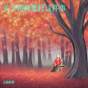 关于轮椅选择这件事