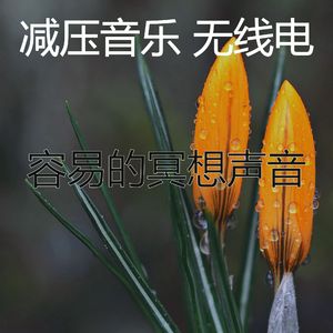 抚慰的睡觉回忆