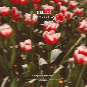 今天你要嫁给我+一无所有