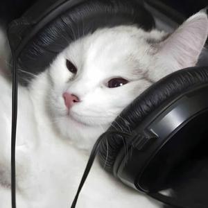 雨爱 cover 杨丞琳