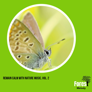 Scarlet Northen Flicker