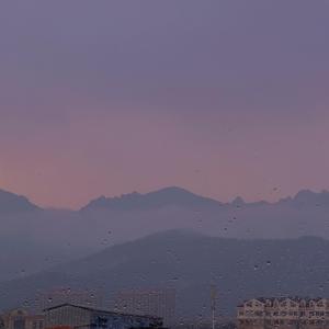 I'll never love again