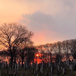 Resurrection (Cover)