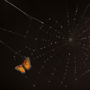 Девочка моя