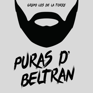 El Imperio De Los Beltrán Leyva