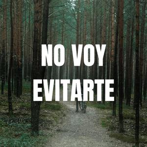 NO VOY A EVITARTE