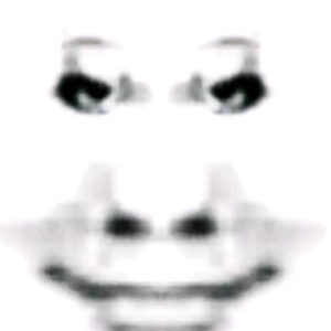 大型纪录片《中华田园犬》