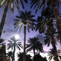 金牌扶手 (迷幻鼓)