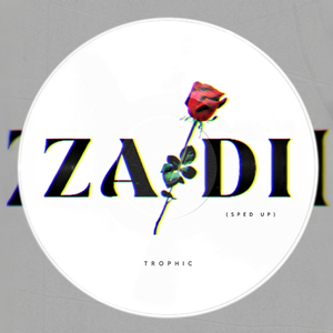 Zaidi (Sped Up)
