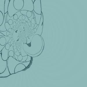 Manecillas Inmóviles