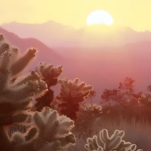 我承认这是我拥有最棒的一次友情