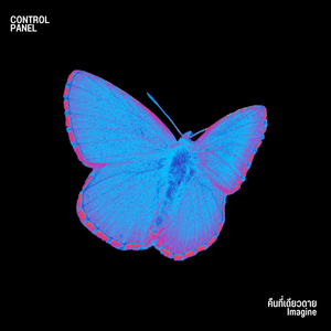 คืนที่เดียวดาย (Imagine)