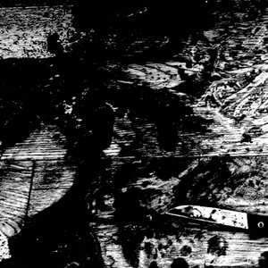 Punk Ecologista (Demo)