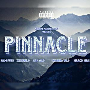 Pinnacle (feat. City Wild, Yates Wild, Marco Man & Chubbino Wild)