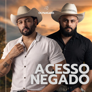 Acesso Negado