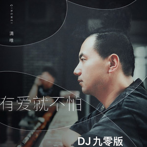 有爱就不怕 (DJ九零版伴奏)