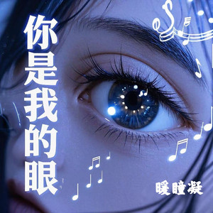 你是我的眼