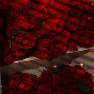 4U（cover：万妮达）