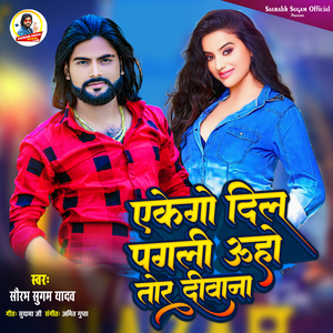 Ekego Dil Pagali Uho Tor Diwana