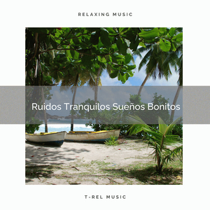 Sueños Magnificas y Cantos de Pajaritos Salvajes
