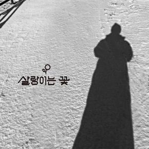 겨울 그림자