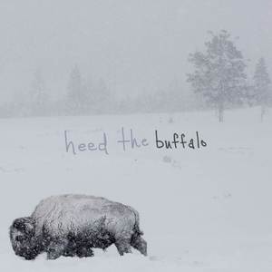 Heed the Buffalo