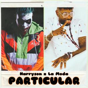 Particular
