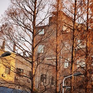 一首比较难听的纯音乐