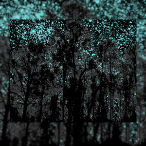 Кем я так и не стал.