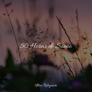 Caminando En Un Lugar Calmado