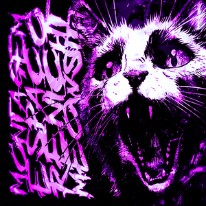 Montagem Espaco Renicht Meowsith (Slowed)