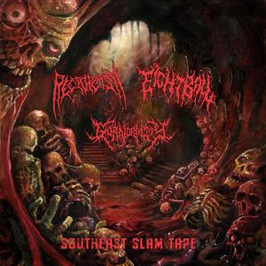 Maimed'r Taint (feat. Cardiomyotomy)