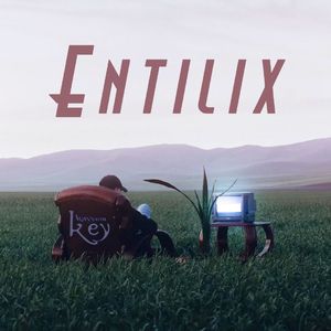 Entilix