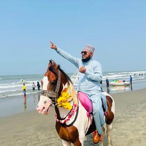 অ পাখি তোমার দুটি পাখনা যদি আমি পায়