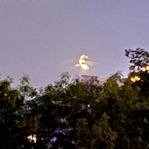 别在Live house哭泣