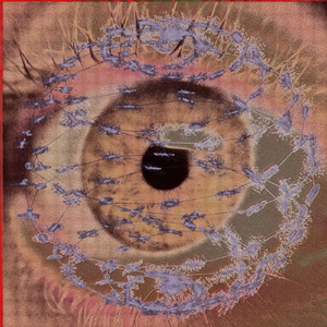 016 Get Funked Up In 3-D 1