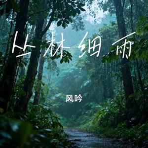 丛林细雨
