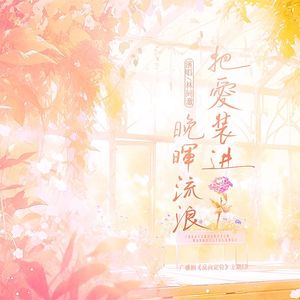 把爱装进晚晖流浪