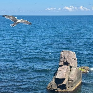 Морски Бряг