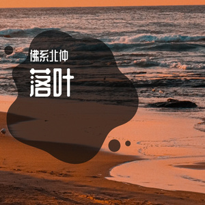 落叶