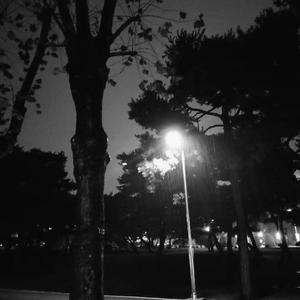 「free」black
