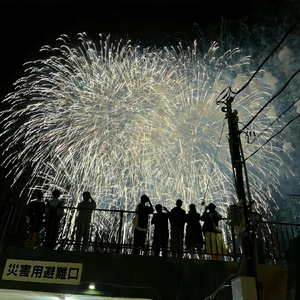 爱得太迟（国语版）