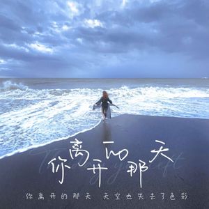 你离开的那天