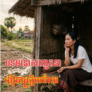 ងៀជាស្រ្តីមេម៉ាយ ច្រៀងដោយ កញ្ញា កំសត់